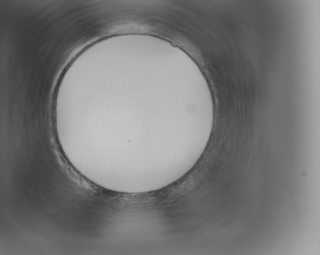 X0000060271008200511241449