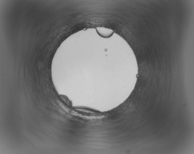 X0000060271009200511241448