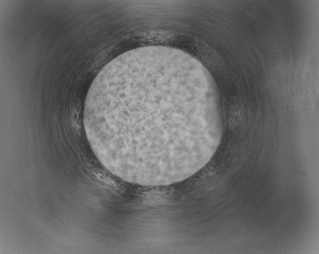 X0000060271010200511241448