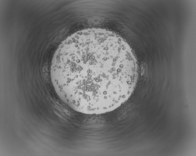 X0000060271011200511241448