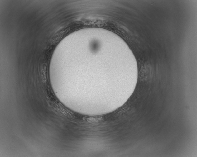 X0000060271013200511241448