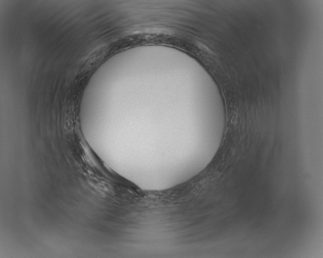 X0000060271014200511241448