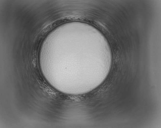 X0000060271015200511241448