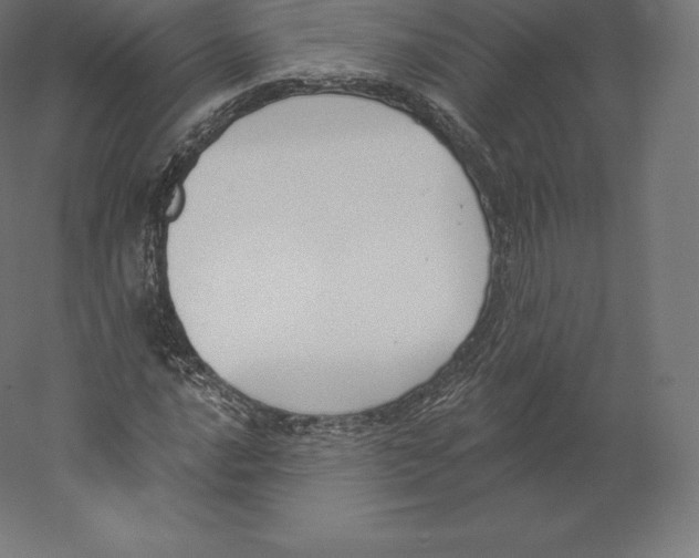 X0000060271016200511241448