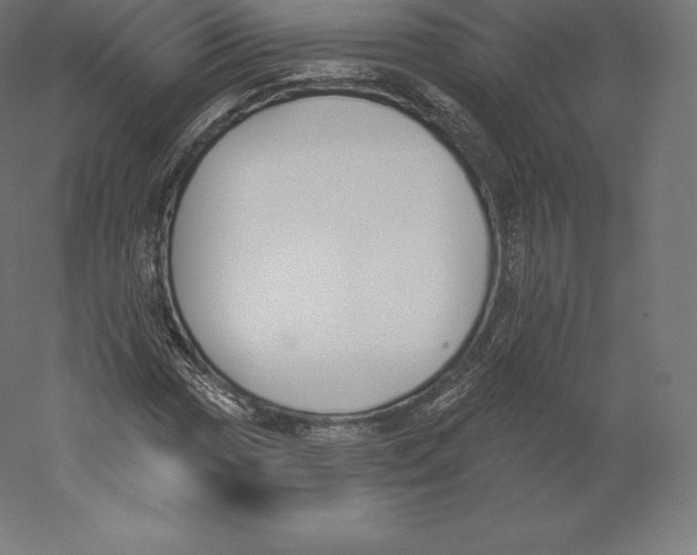 X0000060271017200511241448