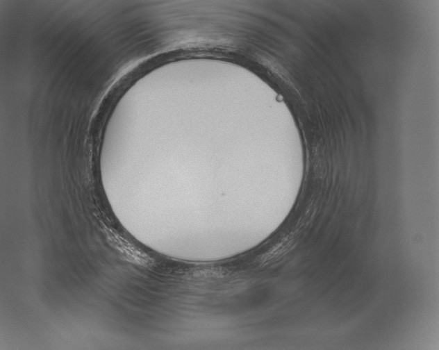 X0000060271021200511241448