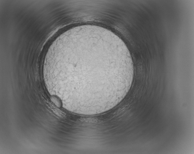 X0000060271023200511241449