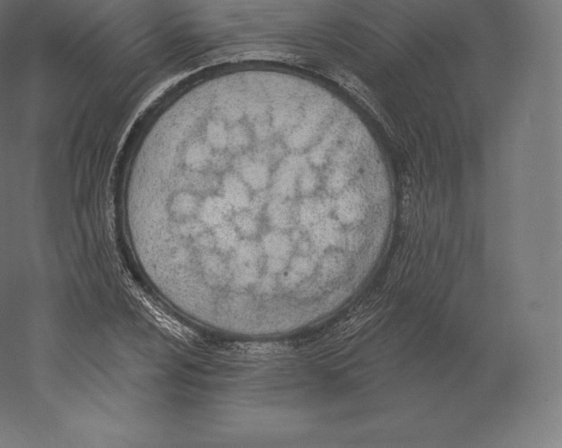 X0000060271024200511241449