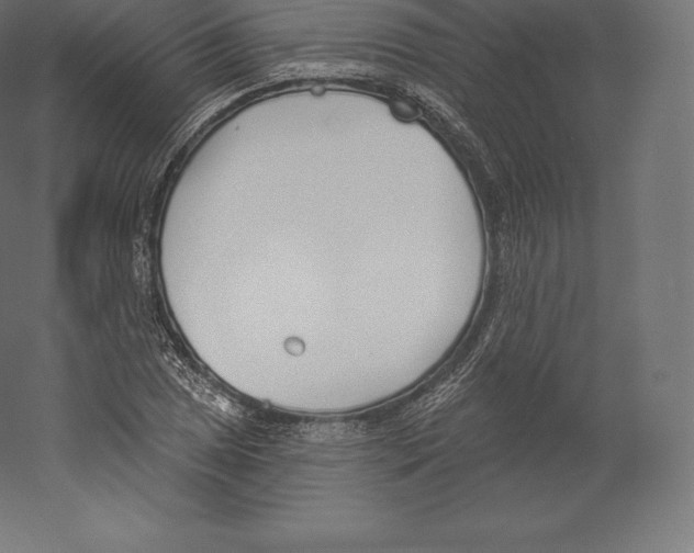 X0000060271025200511241449