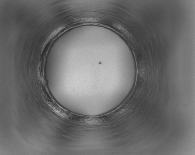 X0000060271026200511241449