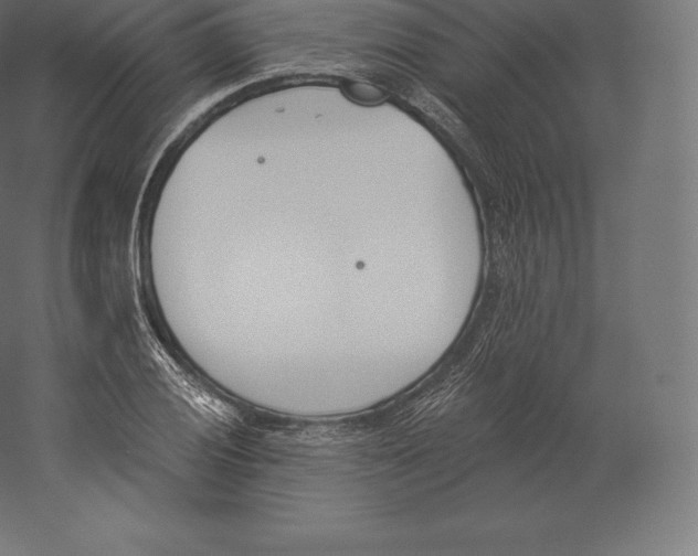 X0000060271028200511241449