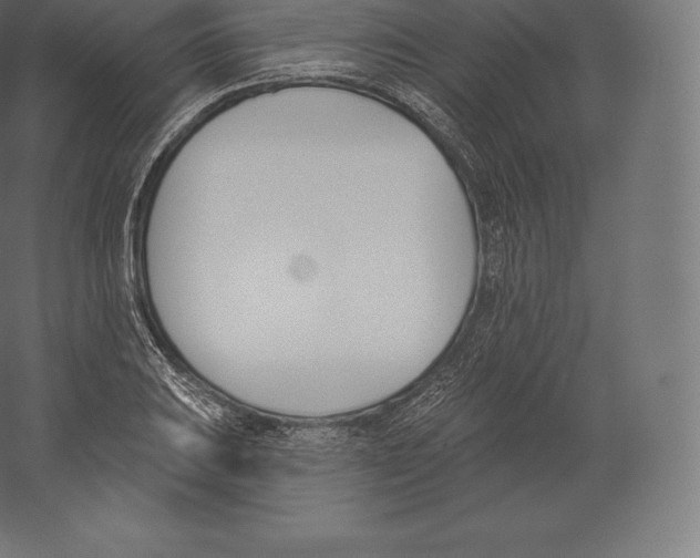 X0000060271031200511241449