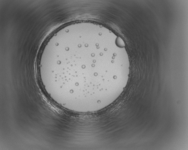 X0000060271032200511241449