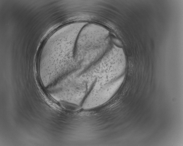 X0000060271034200511241449