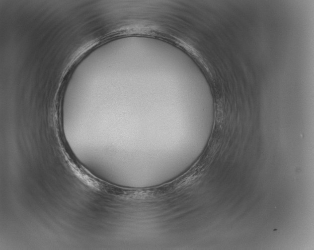 X0000060271042200511241449