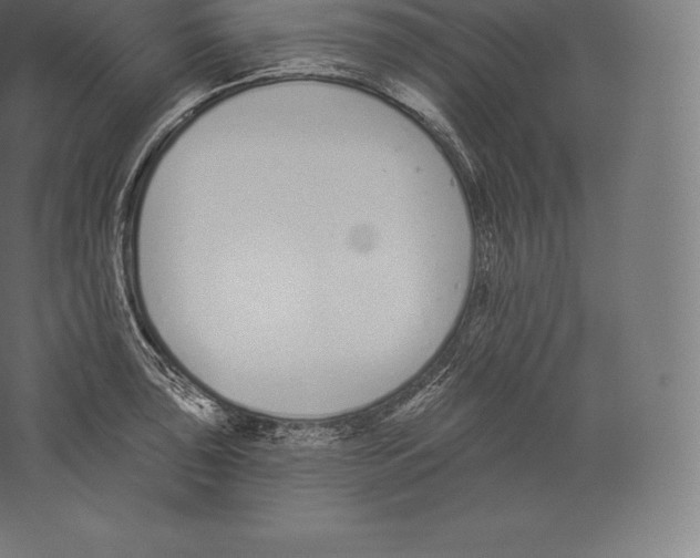 X0000060271043200511241449