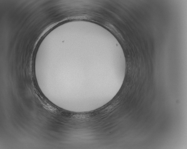 X0000060271044200511241449