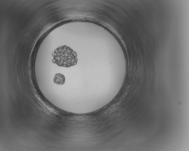 X0000060271045200511241449