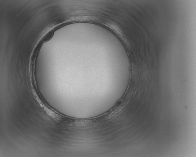 X0000060271046200511241449