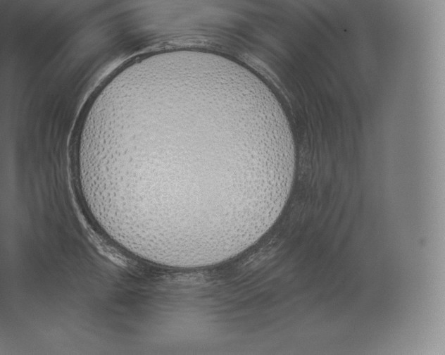 X0000060271047200511241449