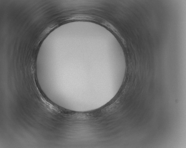 X0000060271049200511241449