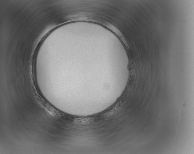 X0000060271051200511241449