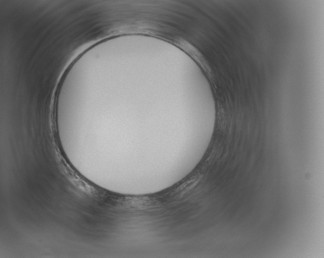 X0000060271052200511241449