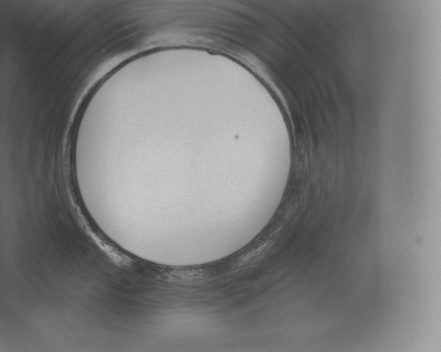 X0000060271053200511241449