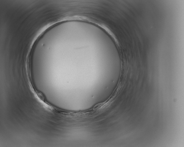 X0000060271054200511241449