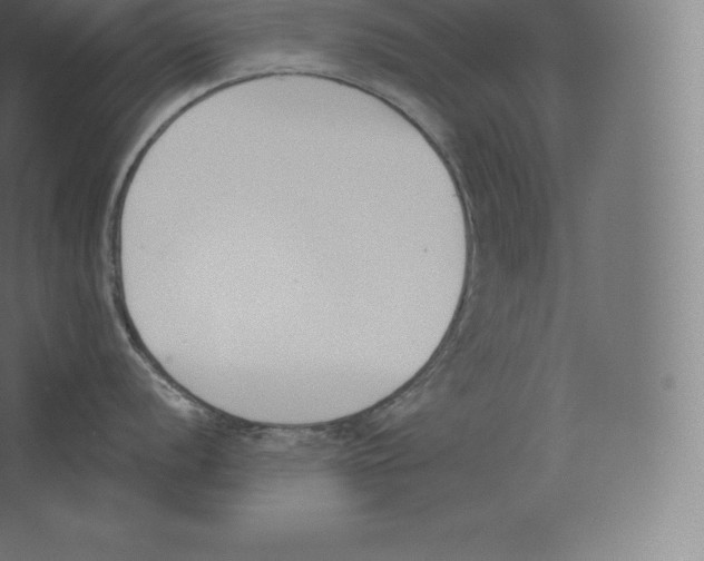 X0000060271056200511241449