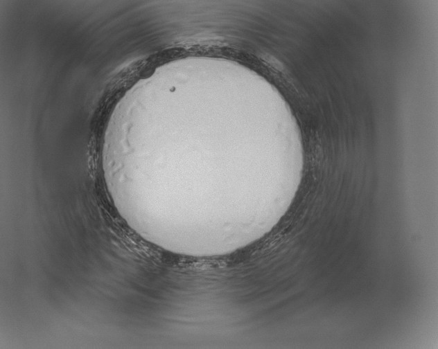 X0000060271063200511241448