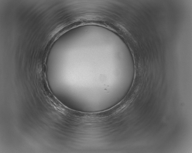 X0000060271065200511241448