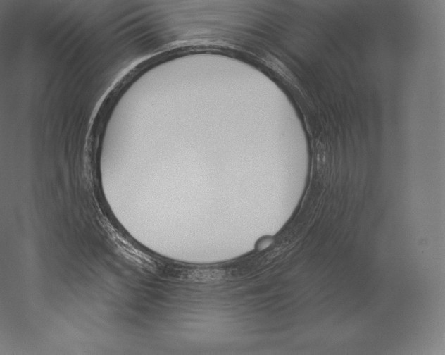 X0000060271068200511241448