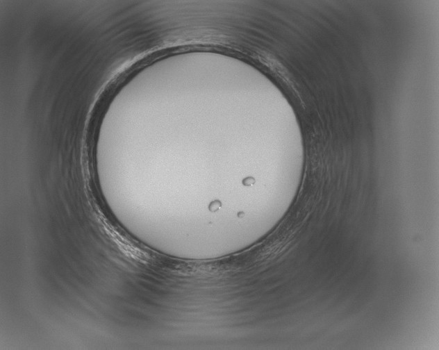 X0000060271072200511241448