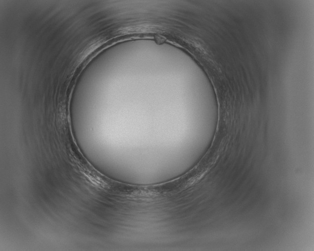 X0000060271073200511241448