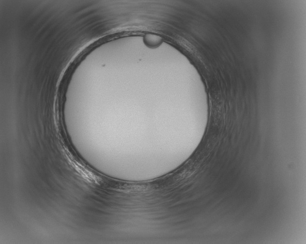 X0000060271076200511241448