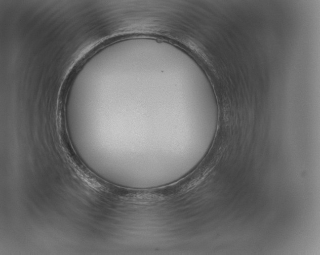 X0000060271077200511241448