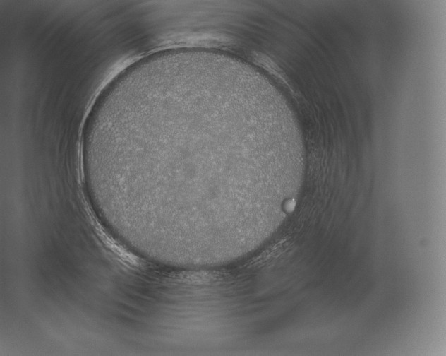 X0000060271079200511241448