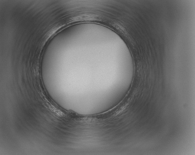 X0000060271081200511241448