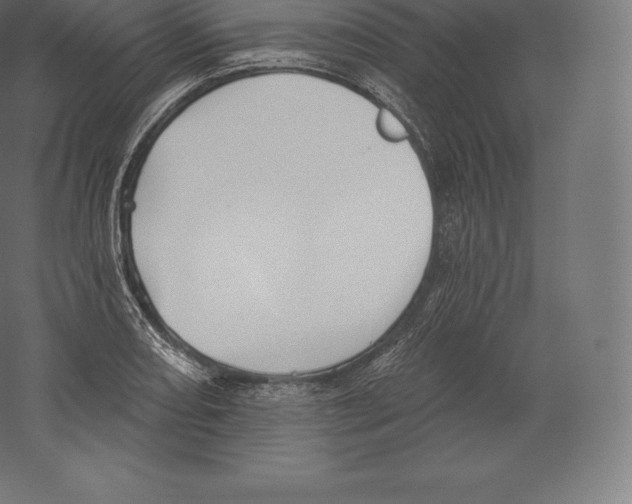 X0000060271082200511241448