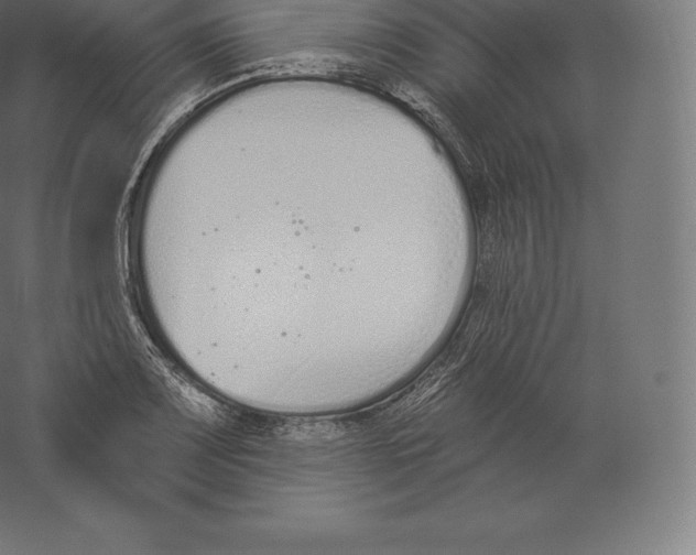 X0000060271083200511241448