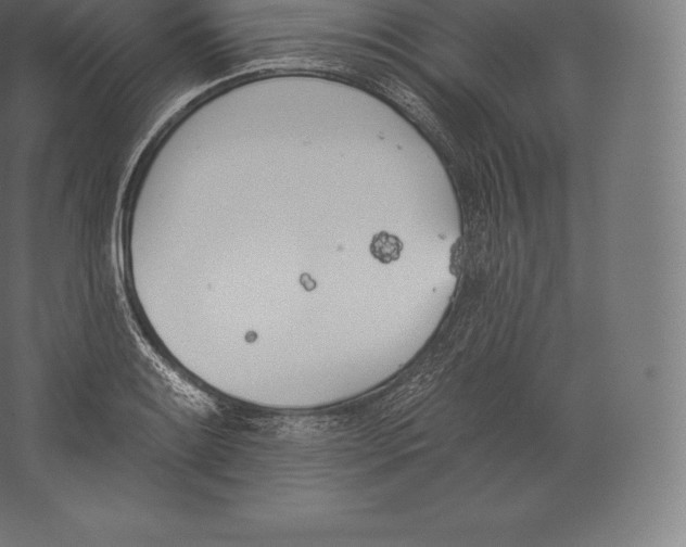 X0000060271084200511241448