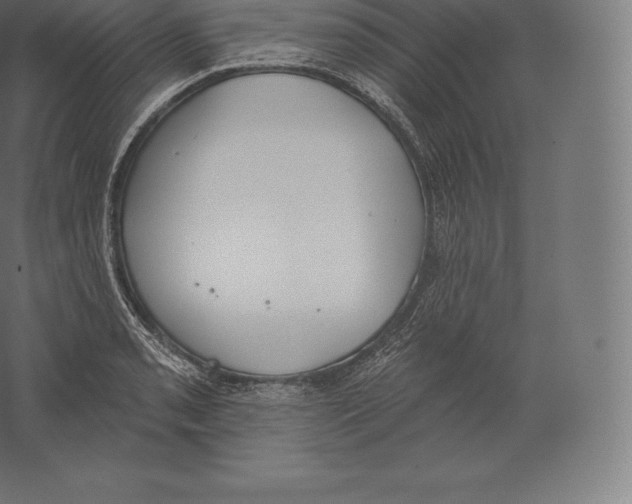 X0000060271085200511241448