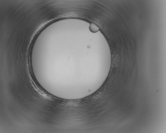 X0000060271086200511241448