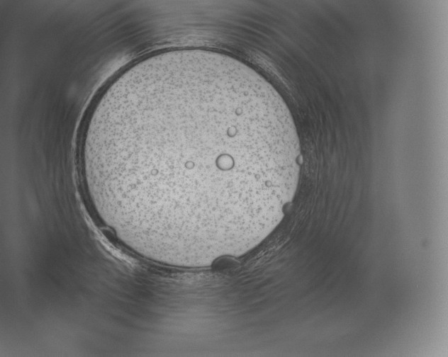 X0000060271087200511241448