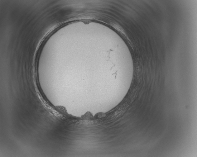 X0000060271088200511241448