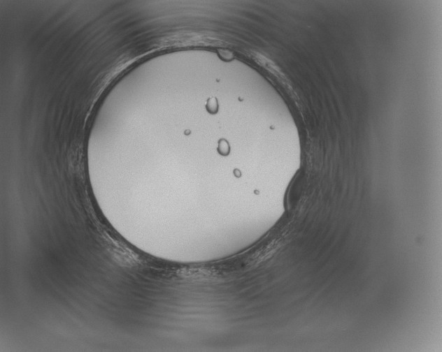 X0000060271089200511241448