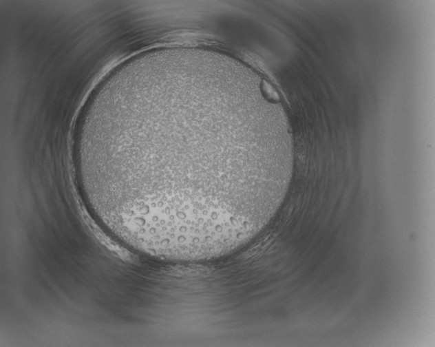 X0000060271091200511241448