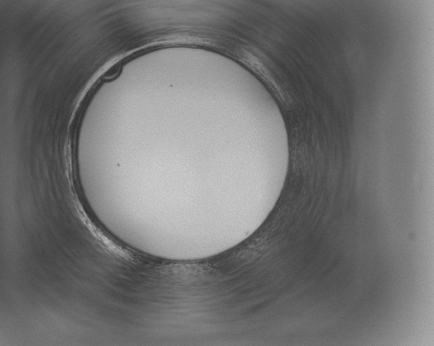 X0000060271092200511241448