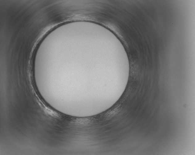 X0000060271094200511241448